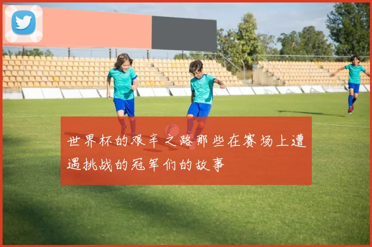 世界杯的艰辛之路那些在赛场上遭遇挑战的冠军们的故事